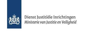 Logo DJI